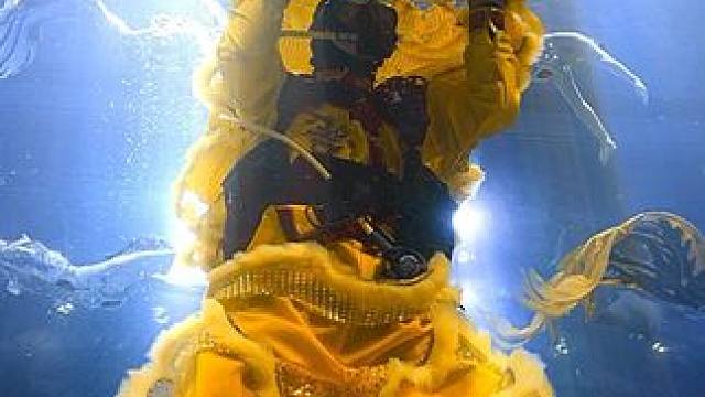 水下舞狮. Underwater lion dance #传统文化 #非遗 #水下摄影 #水下舞蹈