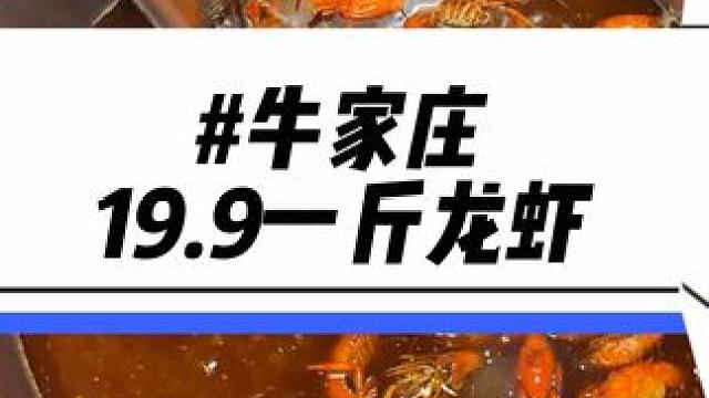 19.9一斤龙虾还可以无限叠加使用！而且还有88超划算的牛肉火锅套餐！金家渡吃夜宵直接冲这家#吃龙虾