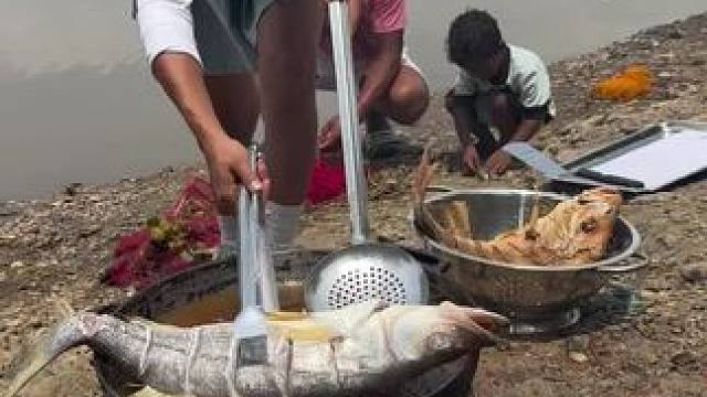 户外野餐 #我的日常生活 #原创视频 #我的绿色生活 #户外生活 #户外野炊