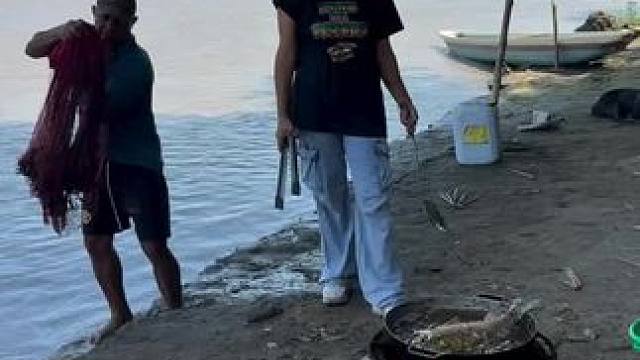 户外野餐 #农村美食记录生活 #我的乡村生活 #我的日常生活 #原创视频 #我的绿色生活