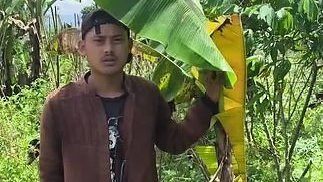 东南亚野菜哥 #东南亚美食