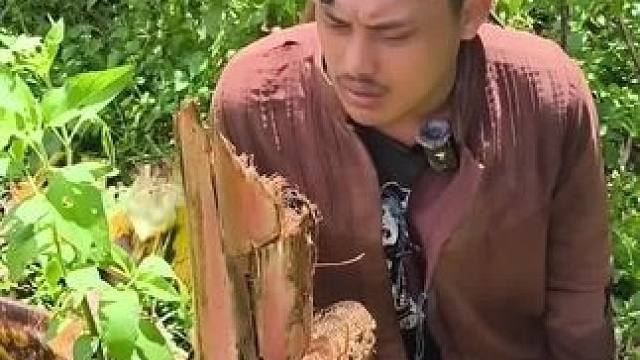 东南亚野菜哥 #我的乡村生活 #农村美食记录生活 #我的日常生活 #原创视频 #户外生活