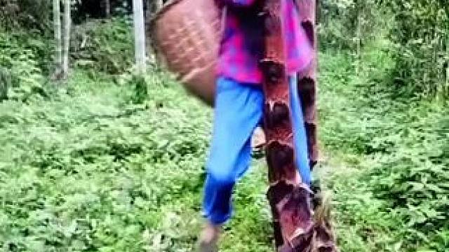 山卡卡里的农村大姐学费了开直播每天收获满满您还在恐播怕播不敢开播开播了不知说什么吗#记录农村生活# 