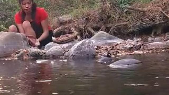 用特殊的食谱烹饪章鱼足 