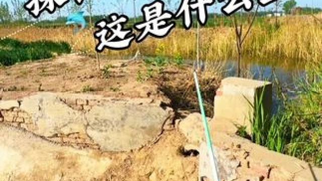 你们说那条是什么鱼 #老坛甜薯 #钓鱼 #户外钓鱼 #野河野钓 #钓鱼日记
