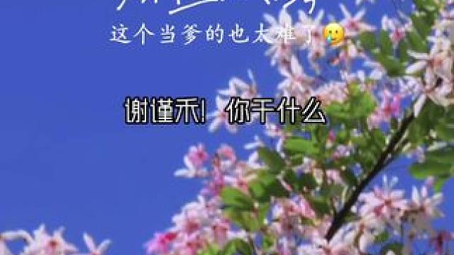 #财迷心窍 #广播剧 蔓播哒 笑死，这个当爹的也太难了，俩儿子没一个省心的