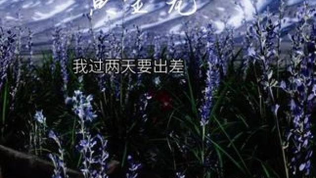 #黄金笼 #广播剧 哼！你走我也走！