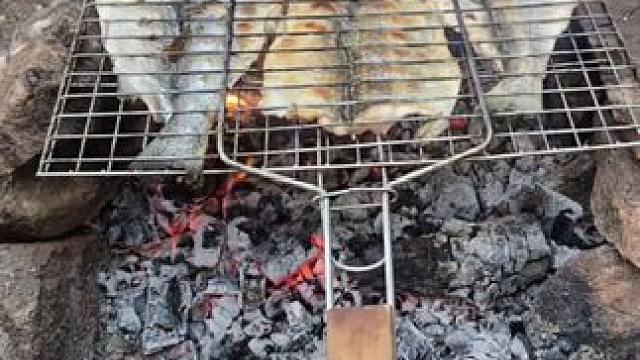 户外烤鱼 #露营报告 #露营美食报告