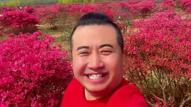 #青岛西海岸杜鹃园 #杜鹃花#花海 #周末遛娃#情侣约会