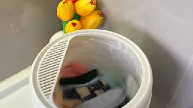 内衣裤护理机 内衣裤护理机 家里有宝宝的贴身衣物就用这个自带蓝光抑菌的小型衣物护理机#内衣裤清洗机 