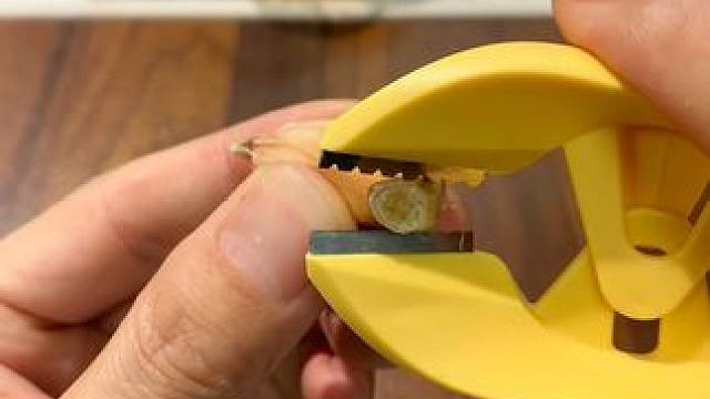 剥蒜夹 扒蒜用这个不锈钢 #剥蒜夹  ,以前用手剥蒜剥的手疼，有了这个剥蒜夹子好了，剥蒜省时省力#大