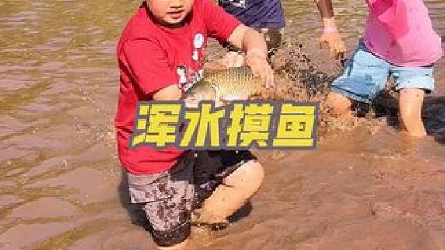 #抓鱼 #野炊火锅 小朋友们捡鸡蛋，抓鸭子和抓鱼