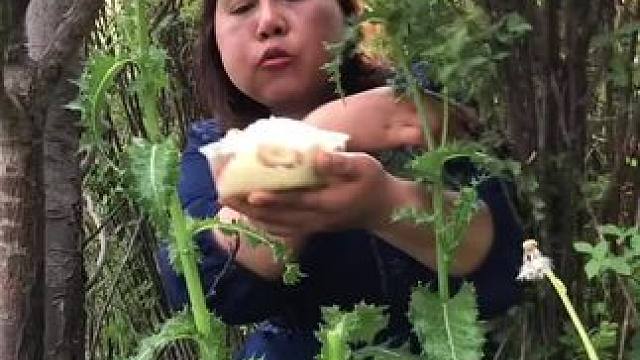 东南亚野菜姐 #农村美食记录生活 #我的乡村生活 #优质农产品 #我的日常生活 #越南美食