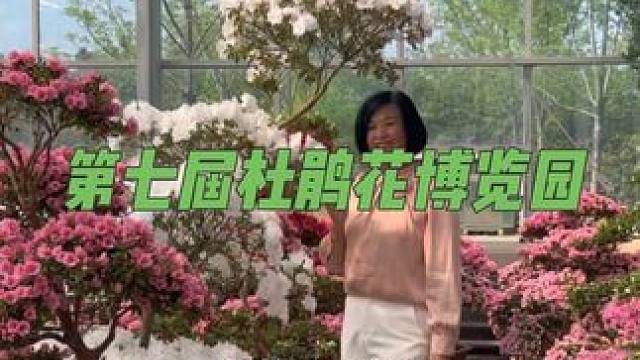 第七届杜鹃花展如约而至啦！4月26日开园，快点约上家人来拍照打卡啦#春日赏花 #花的海洋 #杜鹃花展