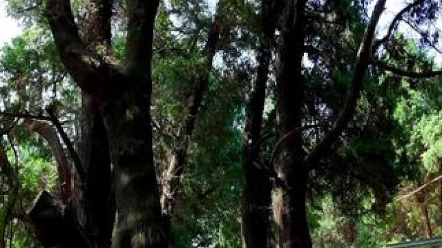 2025·4.23日全国徒步大会主会场在剑阁县龙源镇红彤村举行。#剑阁是个好地方#春来广元#千村万象