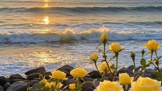 宽松休闲工装裤 #时尚穿搭 #工装裤 #时尚百搭 #工装裤穿搭 #休闲裤