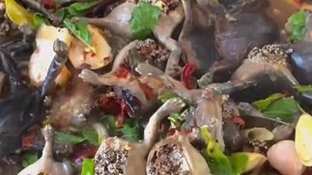 多保重，蛋蛋蛙 #内容启发搜索 #泰国美食 #户外美食 #美食