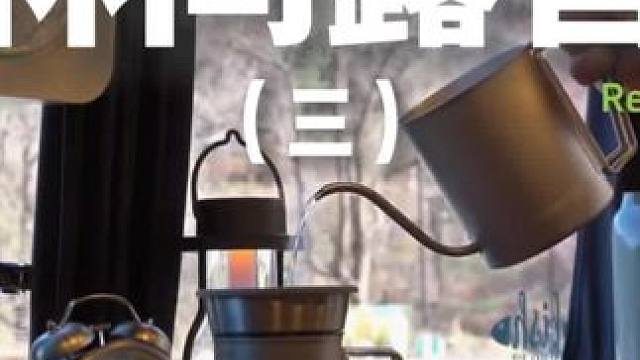 林间露营（三）#露营 #助眠 #解压 #萌宠 #户外露营