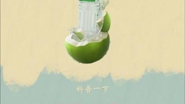 没想到骆驼也有失蹄的时候！#椰子水 #超便宜超划算 #小仙女都在喝什么 #好喝不贵 #夏季新款