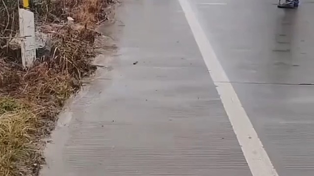 这才能测出来电线杆的质量  这就是偷工减料