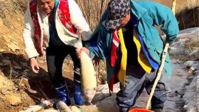 #户外捕鱼 #好大一条鱼