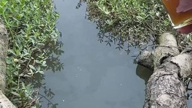 告别空军#钓鱼 #钓鱼人的天堂 #钓鱼的乐趣只有钓鱼人懂 #钓鱼人就是这么疯狂