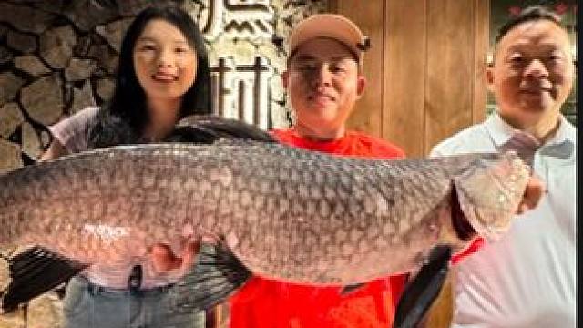 相互信任，交换美好！三条大青换鸭嘴，你们觉得梓慧亏不亏...