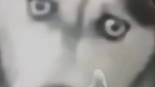 避他锋芒？我的剑未必不利#球球大作战#球球大作战小游戏 #我们球球玩家是这样的#球球四月日常征集