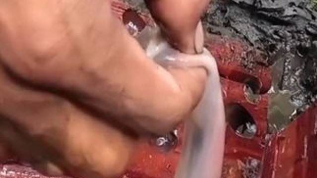 木头里居然还有这宝贝 #泰国大叔#泰国美食#内容启发搜索 #泰国生活