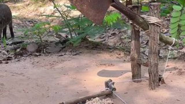 我发布了一个新视频，快来围观吧！