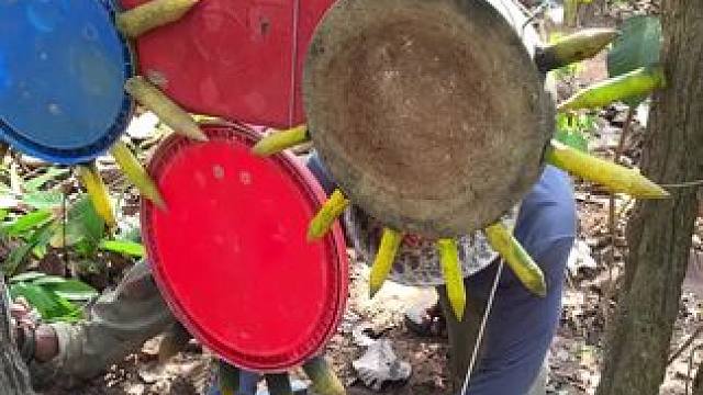 我发布了一个新视频，快来围观吧！