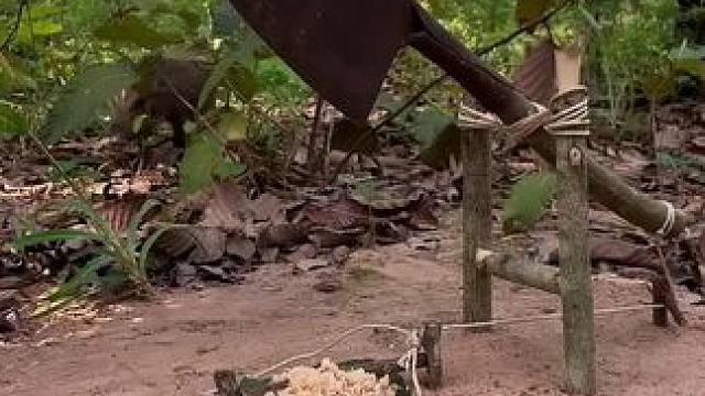 我发布了一个新视频，快来围观吧！