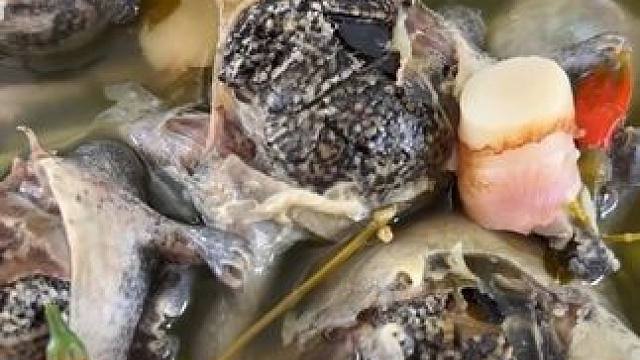 泰国大补林蛙 #泰国林蛙 #东南亚美食 #农村美食记录生活 #粗茶淡饭吃起香农村生活 #内容启发搜索