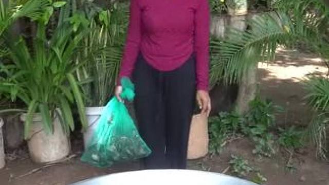 东南亚热带️美食 #东南亚美食 #内容启发搜索 #记录农村生活大山里的生活 #农村美食记录生活 #见