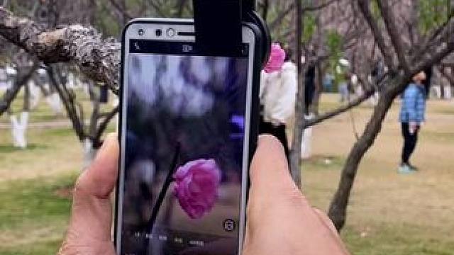 教你用一部手机和一个拍花专用小工具拍出相机单反高级唯美视频或照片，操作简单，新手小白一学就会。#手机