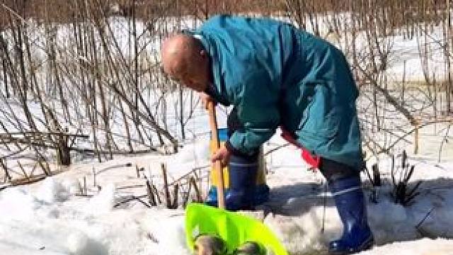 #户外捕鱼 #好多鱼