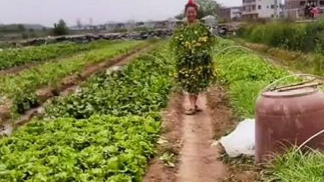 山卡卡里的农村大姐学费了开直播每天收获满满您还在恐播怕播不敢开播开播了不知说什么吗#记录农村生活 #