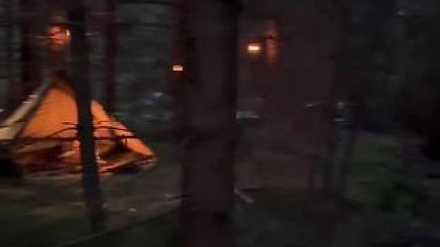 森林中的小窝 #户外露营 #露营报告