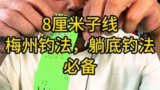 8厘米子线梅州钓法，躺底钓法必备，避开杂鱼钓正经鱼 8厘米子线梅州钓法，躺底钓法必备，避开杂鱼钓正经