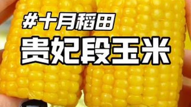 黄金段糯玉米#谁懂这一口的好吃程度 #一口下去超满足 #老少皆宜 #十月稻田#软糯香甜