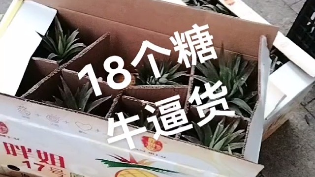 品质天下