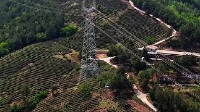 回民村茶山#站得高看得远 #大山深处自然美山清水秀好风光 #茶园风光 #千村万象乡影广元#春来广元