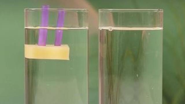 小实验，大道理，让孩子玩一玩真实的科学小实验，不仅锻炼孩子的科学思维，还能每天增加物理化知识，提升专