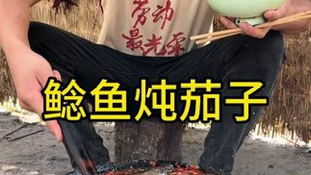 #农村美食 #农村生活 #地方特色美食 
鲶鱼炖茄子这也太入味了无敌好吃啊