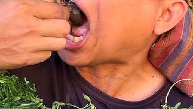 苦菜煮大田鼠 #美食 #泰国美食 #户外美食 #内容启发搜索