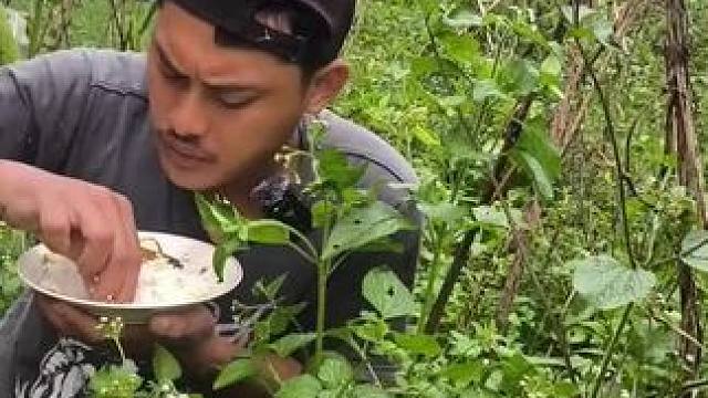 东南亚野菜哥 #东南亚美食 #内容启发搜索 #农村美食记录生活