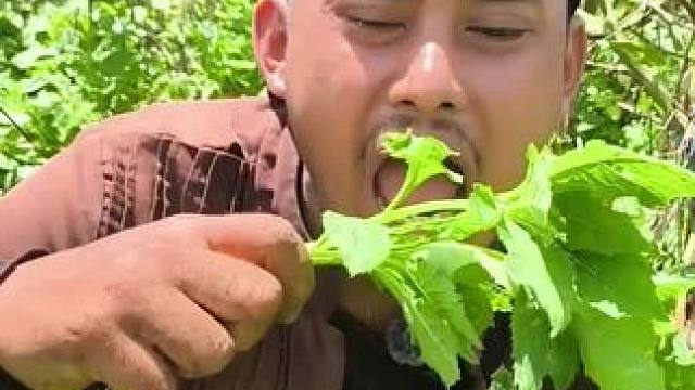 东南亚野菜哥 #农村美食记录生活 #东南亚美食 #原生态原滋味 #记录农村生活大山里的生活 #大山里