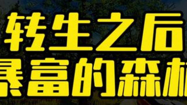 #逃离塔科夫 转生之后暴富的森林