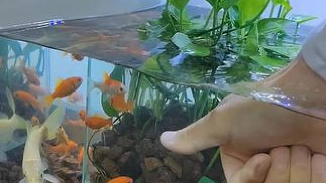 太离谱了！用大拇指真的可以钓到鱼吗？