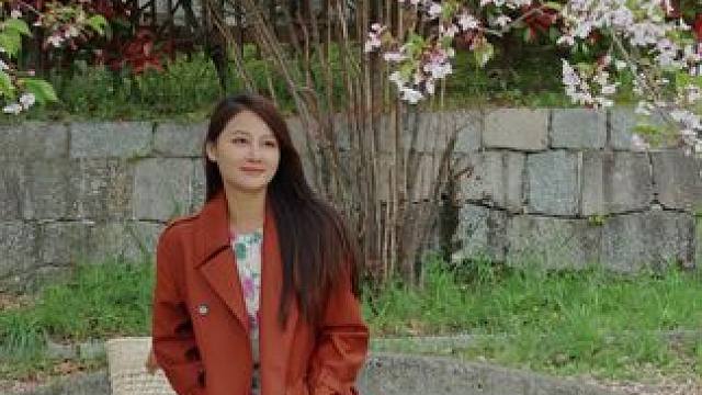 感受了一次浪漫的樱花季节#旅行让我看不一样的世界 #日本 #樱花